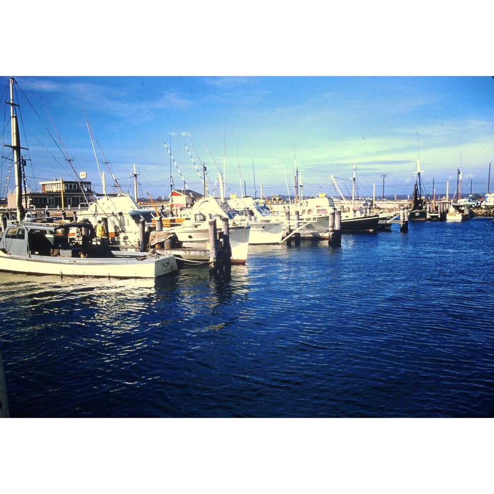 Kodak Slide 35mm 1950s Red Border Kodachrome, Schellenger's Landing, New Jersey